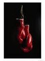 Indy Boxing South| Boxing| Karate| Self Defense image 7