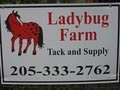Ladybug Farm image 2
