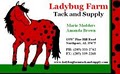 Ladybug Farm logo