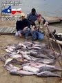 Lake Lewisville Fishing Guide Service image 5