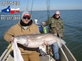 Lake Lewisville Fishing Guide Service image 1