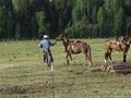 Laughing Water Ranch image 4