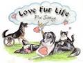 Love Fur Life Pet Sitting - Pet Sitter, House Sitter & Dog Sitter image 2