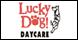 Lucky Dog logo