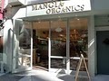 Mangia Organic logo
