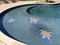 Manny Pools image 3