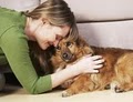 Marin Pet Sitting and Dog Walking Service image 2