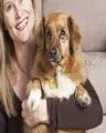 Marin Pet Sitting and Dog Walking Service image 4