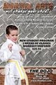 Martial Arts / Karate / Indianapolis / 46239 image 8