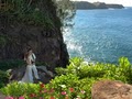 Maui Wedding Planners image 2