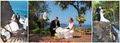 Maui Wedding Planners image 6