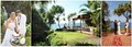 Maui Wedding Planners image 8