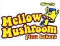 Mellow Mushroom image 1