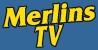 Merlins TV logo