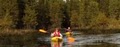 Micks Canoe And Kayak Rental logo