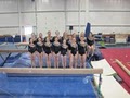 Midwest Twisters Gymnastics image 5