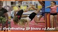 Midwest Twisters Gymnastics image 8