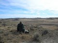 Montana Guided Prairie Dog and Coyote Hunting image 2