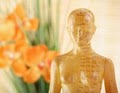 Nature's Grace Acupuncture Treatment in Temecula image 3