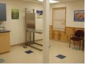 New Prague Animal Care image 4