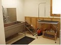 New Prague Animal Care image 7