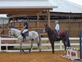 North Dallas Equestrian image 4