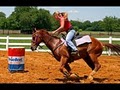 North Dallas Equestrian image 10