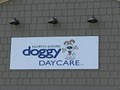 North Shore Doggy Daycare Llc logo