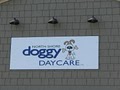 North Shore Doggy Daycare Llc image 1