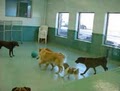 PAHLE SMALL ANIMAL CLINIC image 3