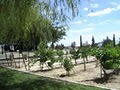 Pahrump Valley Winery Restaurant image 2