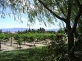 Pahrump Valley Winery Restaurant image 9