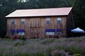 Peace Valley Lavender Farm image 1