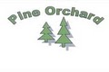 Pine Orchard Liquors logo
