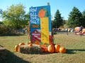 Pinehaven Farms Pumpkins image 3