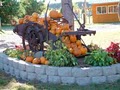 Pinehaven Farms Pumpkins image 1