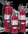 Pioneer Fire Protection image 1