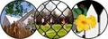 Pro-Fence Installation and Repair image 1