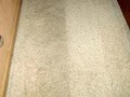 ProClean Carpet & Upholstery Cleaning image 5