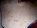 ProClean Carpet & Upholstery Cleaning image 7