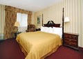 Quality Inn & Suites University/Airport image 3