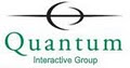 Quantum Interactive Group image 7