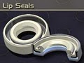 Radial Lip Seals - Mechanical Seal Parts | VanSeal image 4