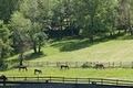 Reddemeade Equestrian Center image 3