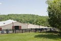 Reddemeade Equestrian Center logo