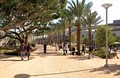 Santa Monica College image 5