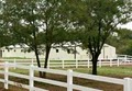 Sapphire Stables and Horse Boarding Facilities image 4