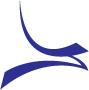 Sayenko Design - seattle brand strategy, web 2.0 professional development, socia logo
