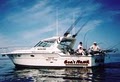 Sea Hawk Fishing Charters St. Joseph logo