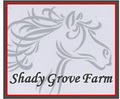 Shelby Graham Hunters/Jumpers LLC logo